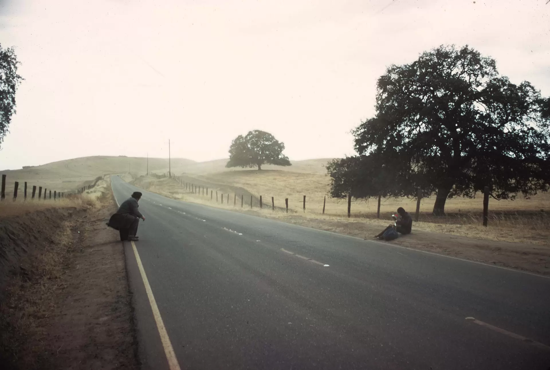 流浪奇男子-圖片